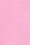 Begonia pink