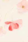 Poppy aop