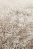 Lt beige (7201)