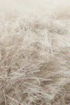 Lt beige