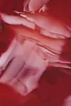 Red/pink