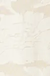 Ecru
