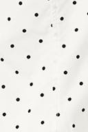 Dot print (1039)
