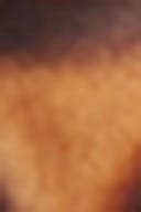 Brown/turtoise (7091)