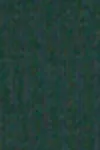 Dk green
