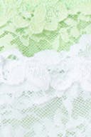 Spring garden (9723)