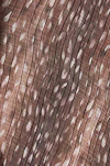 Bleached sand