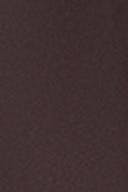 Chocolate plum (4015)