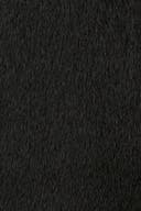Black (9000)