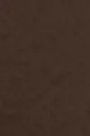 Mole