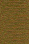Fir green