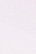 Ballet slipper (3119)