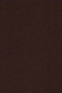 Chocolate plum (4015)