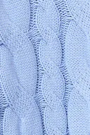 Brunnera blue (5435)