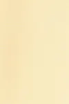 Butter yellow