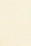 Vanilla yellow