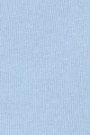 Brunnera blue