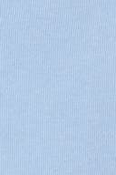 Brunnera blue (5435)