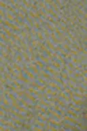Khaki green (6074)