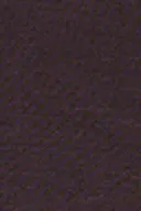 Chocolate plum (4015)