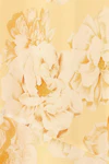 Yellow flower