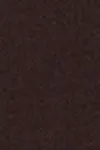 Chocolate plum