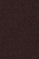 Chocolate plum (4015)