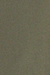 Khaki green