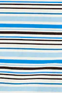 Blue stripe (5992)