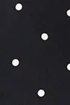 Black dot