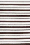 Seal brown stripe
