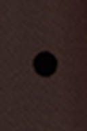 Brown dot aop (7963)