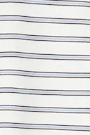 Brown/blue stripe (7953)