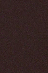 Chocolate plum