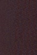 Chocolate plum (4015)