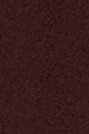 Chocolate plum (4015)