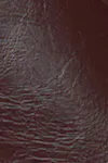 Chocolate plum