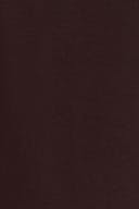 Chocolate plum (4015)