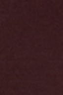 Chocolate plum (4015)