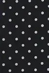 Black dot