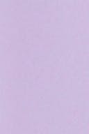 Light purple (4027)