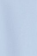 Brunnera blue (5435)