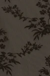 Black olive