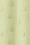Winter pear