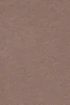 Falcon