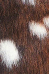 Multi brown
