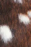 Multi brown