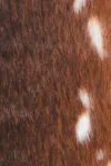 Multi brown