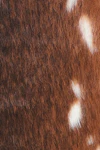 Multi brown