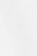 White (1000)